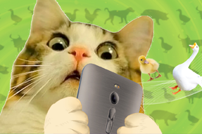 FRIDAY专栏 | 被憋疯的职场人，养起了猪牛羊鱼鸟...