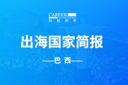 G22恒峰集团GO GLOBAL | 巴西国家简报